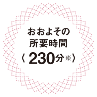 おおよその所要時間 〈230分〉※